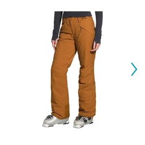 The north face women’s freedom ski pant